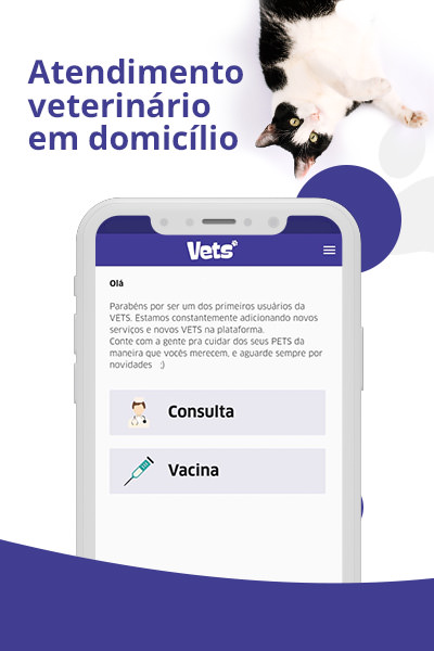 atendimento veterinário