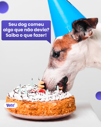 comida que seu cachorro não pode comer